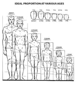 childrens-proportions[1]