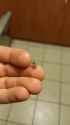 1743594063848704_thumb.jpg