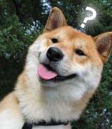 1446993779492