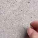 1685673686440913_thumb.jpg