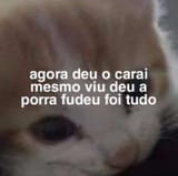 0sefokihfdxe1