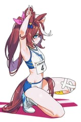 __tokai_teio_umamusume_drawn_by_sarcophage__139ce7e7d9eb42e4d5b98547411c8dbb