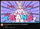 3434534645