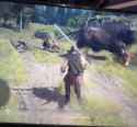 1710536605803550 (neat, combat)_thumb.jpg