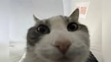1741720516635735