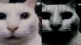 1732290406050700