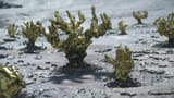 DEATH STRANDING 2_ ON THE BEACH_20250624112533