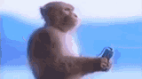 monkey-music-monkey