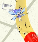 flycirnoc