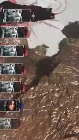whattheshit
