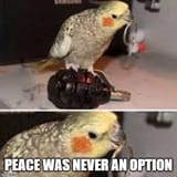 iglqckpqvvk51