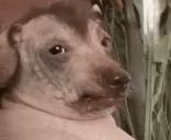 1732655750673167