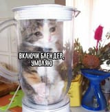 TurnOnTheBlender,IBegYou