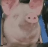 1737554237242921