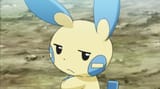 minununamused