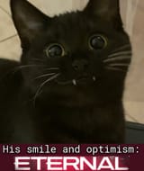 1724073058817333
