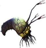 Flood Infection Form