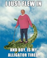 alligator