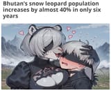 Wildlife