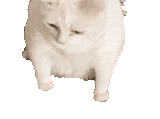 1750810370236405