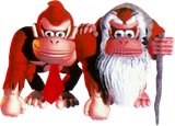 Donkey-Kong-and-Cranky-Kong