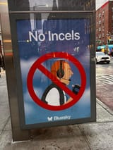 bluesky no incels