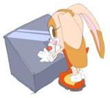 3546844_dctr2_2488629_dctr_gif