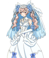 Dolce Wedding Blush