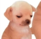 1745046489071393