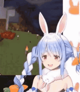 1741203208198528