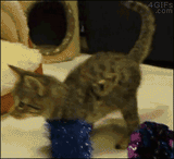 a weapon to surpass meowtal gear