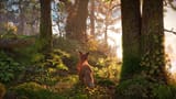 Horizon-Forbidden-West-2022027152030
