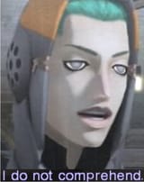 I_do_not_comprehend