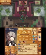 Fire Emblem Fates_25.06.25_00.24.19.577