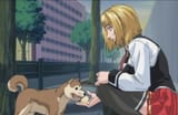 Kitami dog