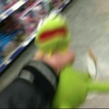 Kermit suicide