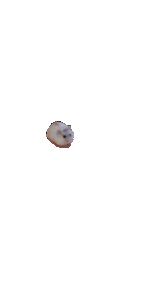 1727736742475393