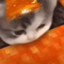 1726143894299698
