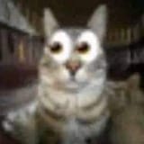 20250515_093809