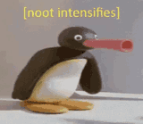 pingu-noot