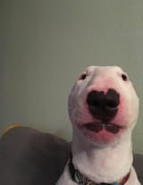 1743975782223112m