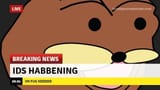 775634c56d31cc222f97bb93b6b9a98de46cbc3b6b61349ec5964c51571facaa_1