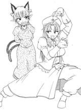 cat fight