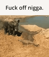 roundbootynigga_-_1893799196387418271_-_GIF_1