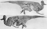 Corythosaurus
