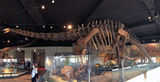 1682688548-apatosaurus0-edited