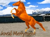 jovialmerryment-horse-race