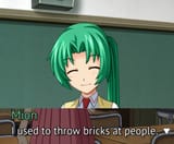 bricks
