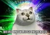 weirdknowledge
