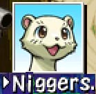niggers